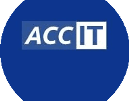 Асс Айти - Профессионалы в области ИБ